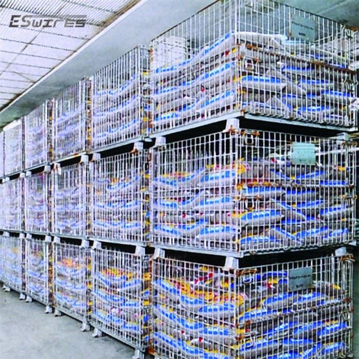 Metal Wire Cage