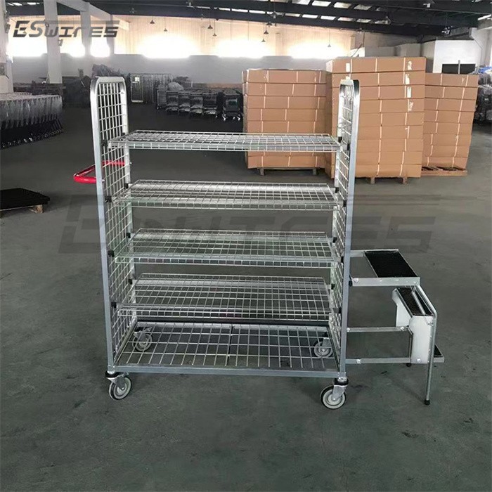 Warehouse Order Picking Carts